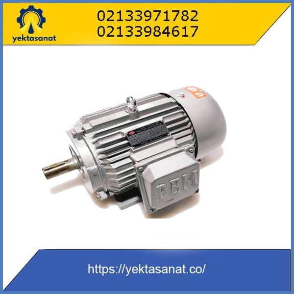 الکتروموتور PEM چینی