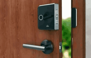 e55cfe0f-5e45-4770-95e7-6ad0b8ebf1f7